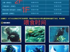 -上海海洋水族馆
