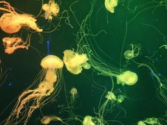 -成都浩海立方海洋公园