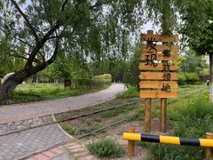 -永定河休闲森林公园