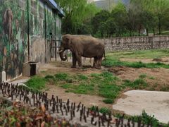 -西安秦岭野生动物园