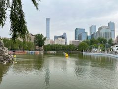 -团结湖公园