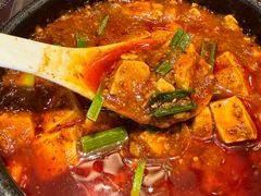 -陈麻婆豆腐总店