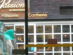 -Passion by Gerard Dubois