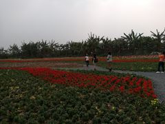 -万顷园艺世界