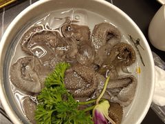 -蜀九香火锅(彩虹店)