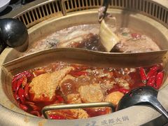 -麻路成都火锅(柏威年店)