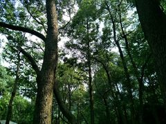 -石燕湖生态旅游景区