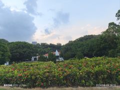 -南沙蒲洲花园