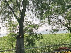 -东山风景区(洞庭东山)
