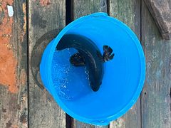 -蓝湾碧波·老字号·疍家非遗海上餐厅