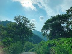 -水墨汀溪风景区
