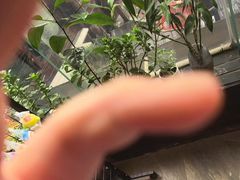 -鲁菜根·泰山菜(泰山店)