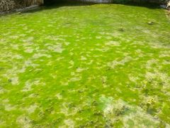 -沕沕水生态风景区