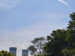 -塘沽森林公园