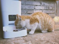 -田德能咖啡博物馆