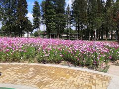 -歌斐颂巧克力小镇