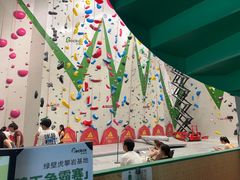 -绿壁虎攀岩基地(Tcar店)