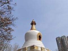 -护国法轮寺
