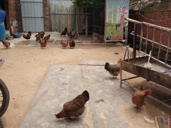 -堤边美食