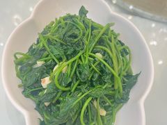清炒苕尖-谢先生酒店·椒宴集(沙湖店)