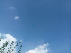 -同济大学(嘉定校区)