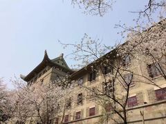 -武汉大学-樱园