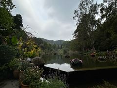 -深圳仙湖植物园