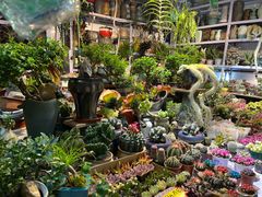 -朝来春花卉市场