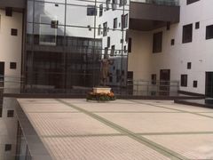 -中国宋庆龄青少年科技文化交流中心