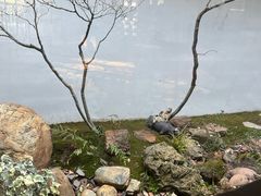 -花迹(富春江东街店)