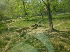 -西安秦岭野生动物园