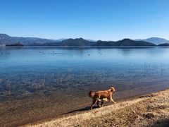 -丽江泸沽湖景区