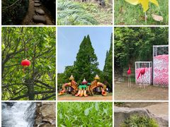 -白马涧龙池景区