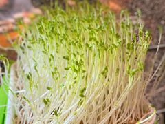 -牛品福潮汕牛肉火锅(旺庄店)