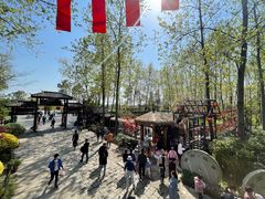 -合肥滨湖国家森林公园