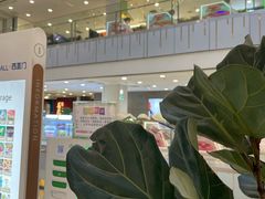 -凯德MALL(西直门店)