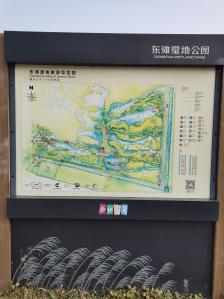 东滩湿地公园-"这个季节,大部分的动物都冬眠了,但这个季.