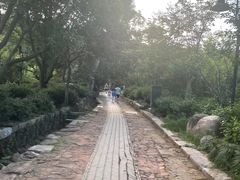 -雨花胜境