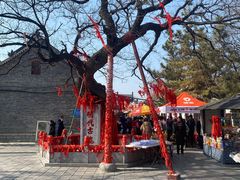 -杨家埠民间艺术大观园