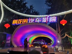 -枫花园汽车电影院(朝阳公园店)