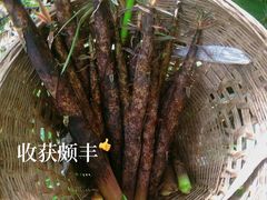 -龙窝子