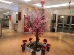 -锦粤宫·融合粤菜(上海金沙江店)