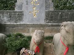 -雨花胜境