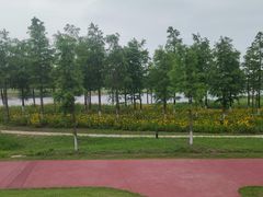 -春花秋色城市公园