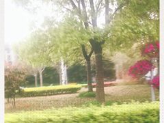 -上海长江软件园