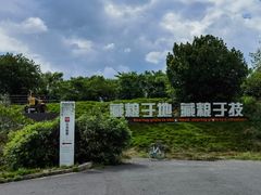 -风云岭森林公园