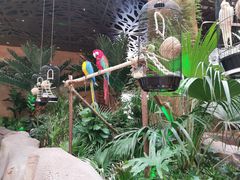 -杭州开元森泊度假乐园