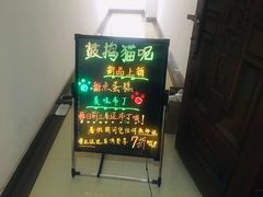 -鼓捣猫呢主题猫咖店