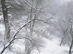 -华山风景名胜区