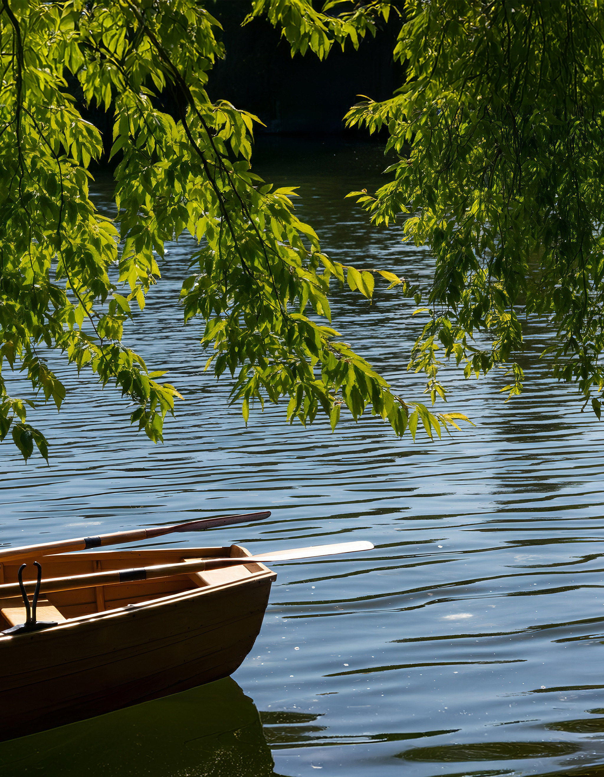 湖的温柔在这里